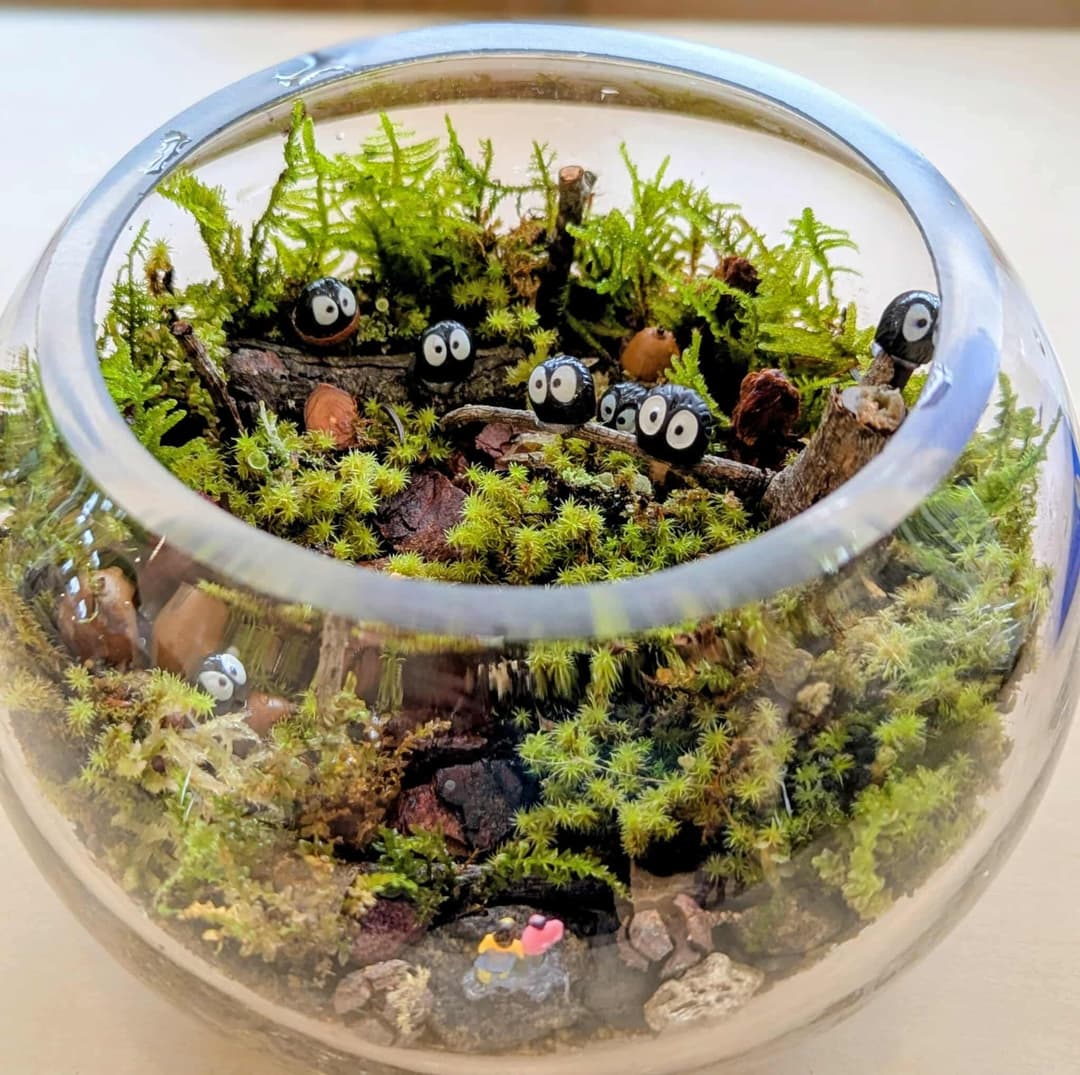 苔テラリウム制作 オンラインワークショップのカバー写真